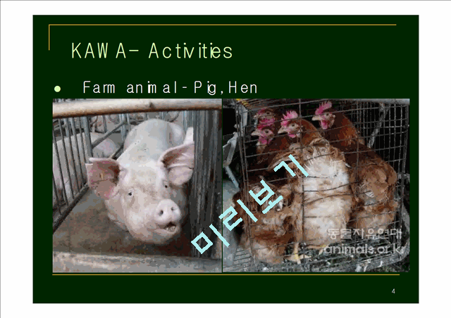 [사회복지학] Farm Animal Welfare Campaign of KAWA, Ms. Hee kyung Jo, KAWA   (4 )